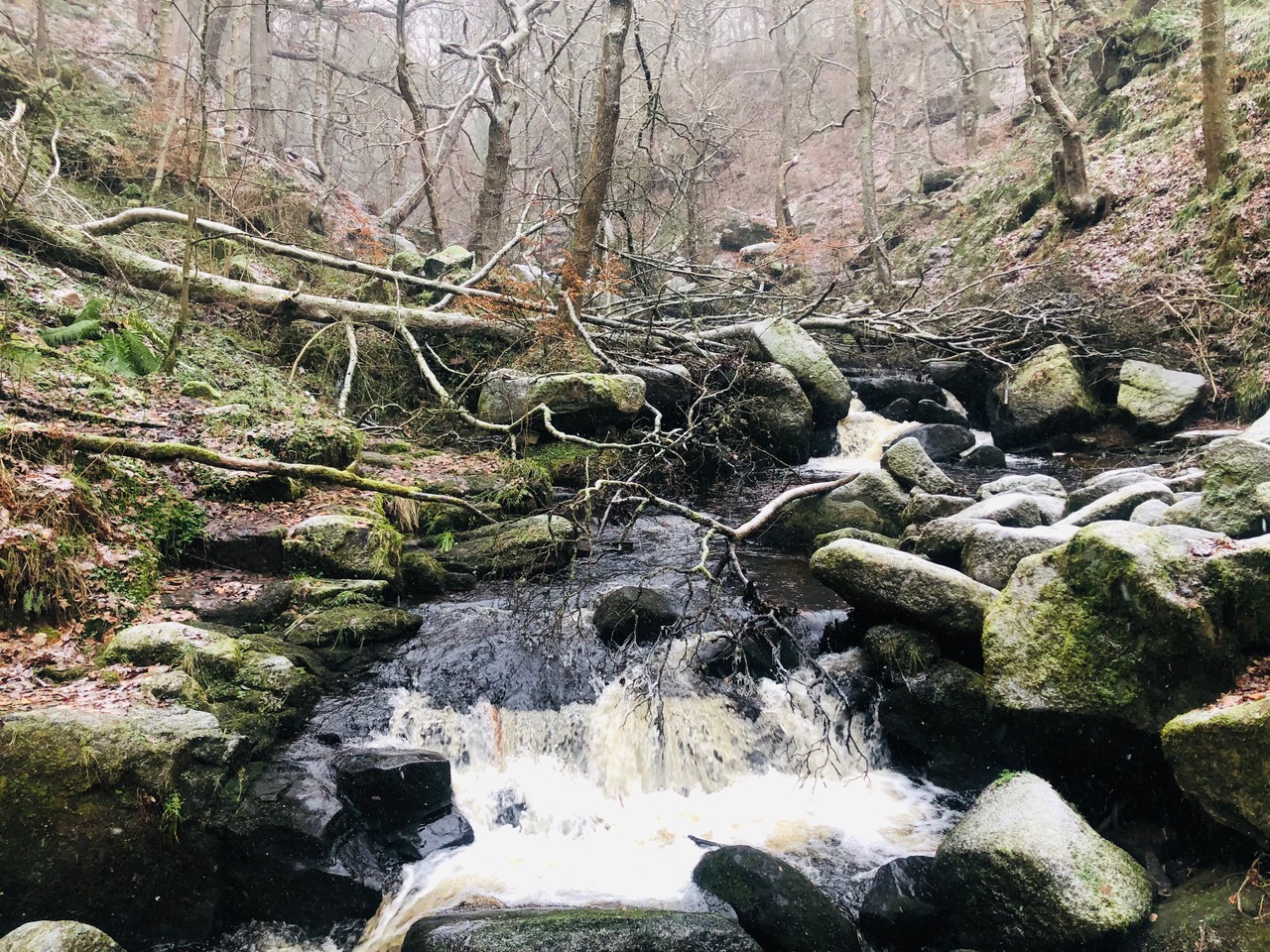 Fwd: Padley Gorge Peak District. Keith Bown			
					</div><!-- .entry-content -->
		
		<footer>
		
		
		
					
					</footer><!-- .entry-meta -->
	</article><!-- #post -->
				
											
				
		
<hr class=