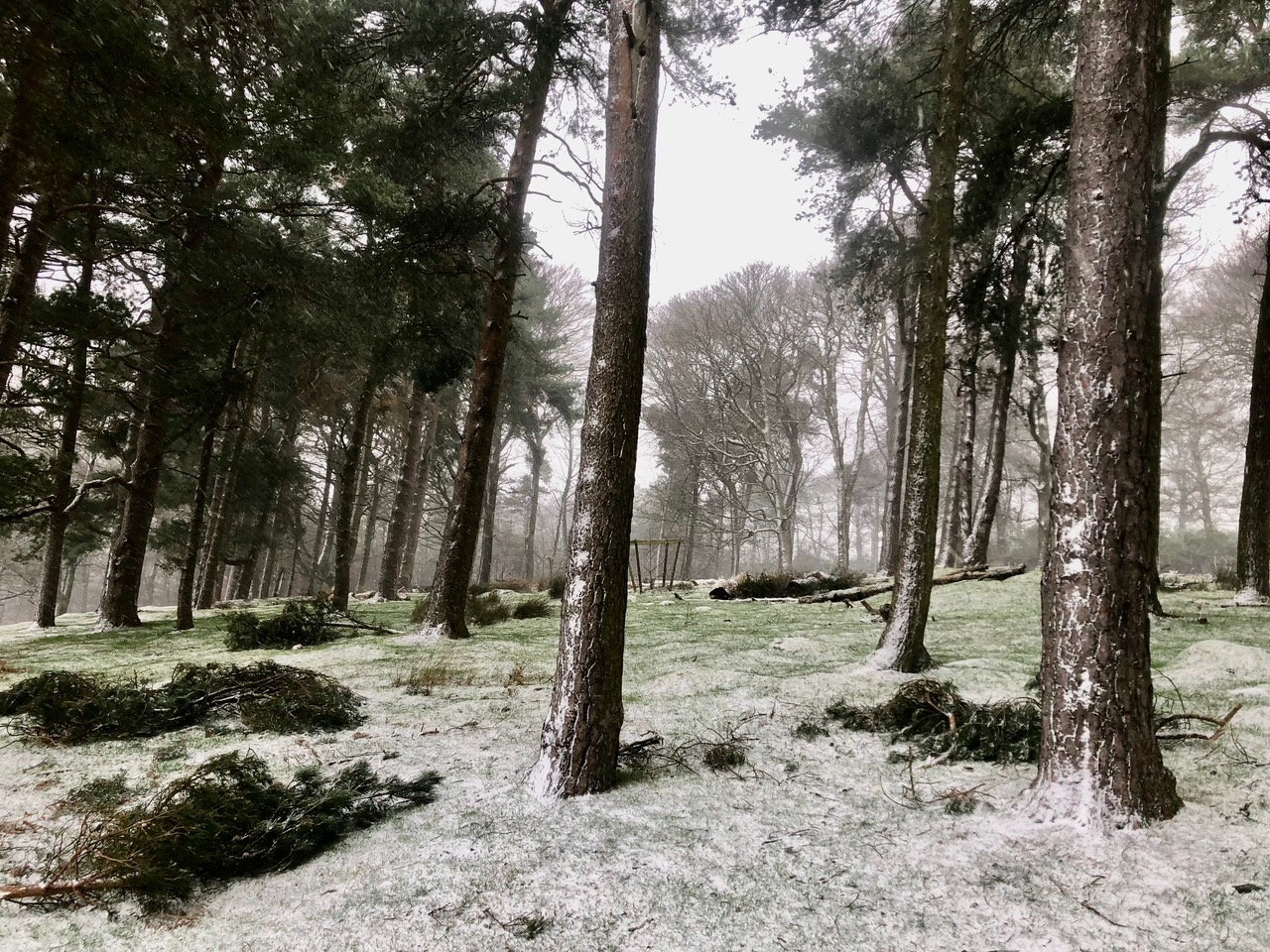Fwd: Longshaw Estate Peak District. Keith Bown			
					</div><!-- .entry-content -->
		
		<footer>
		
		
		
					
					</footer><!-- .entry-meta -->
	</article><!-- #post -->
				
											
				
		
<hr class=