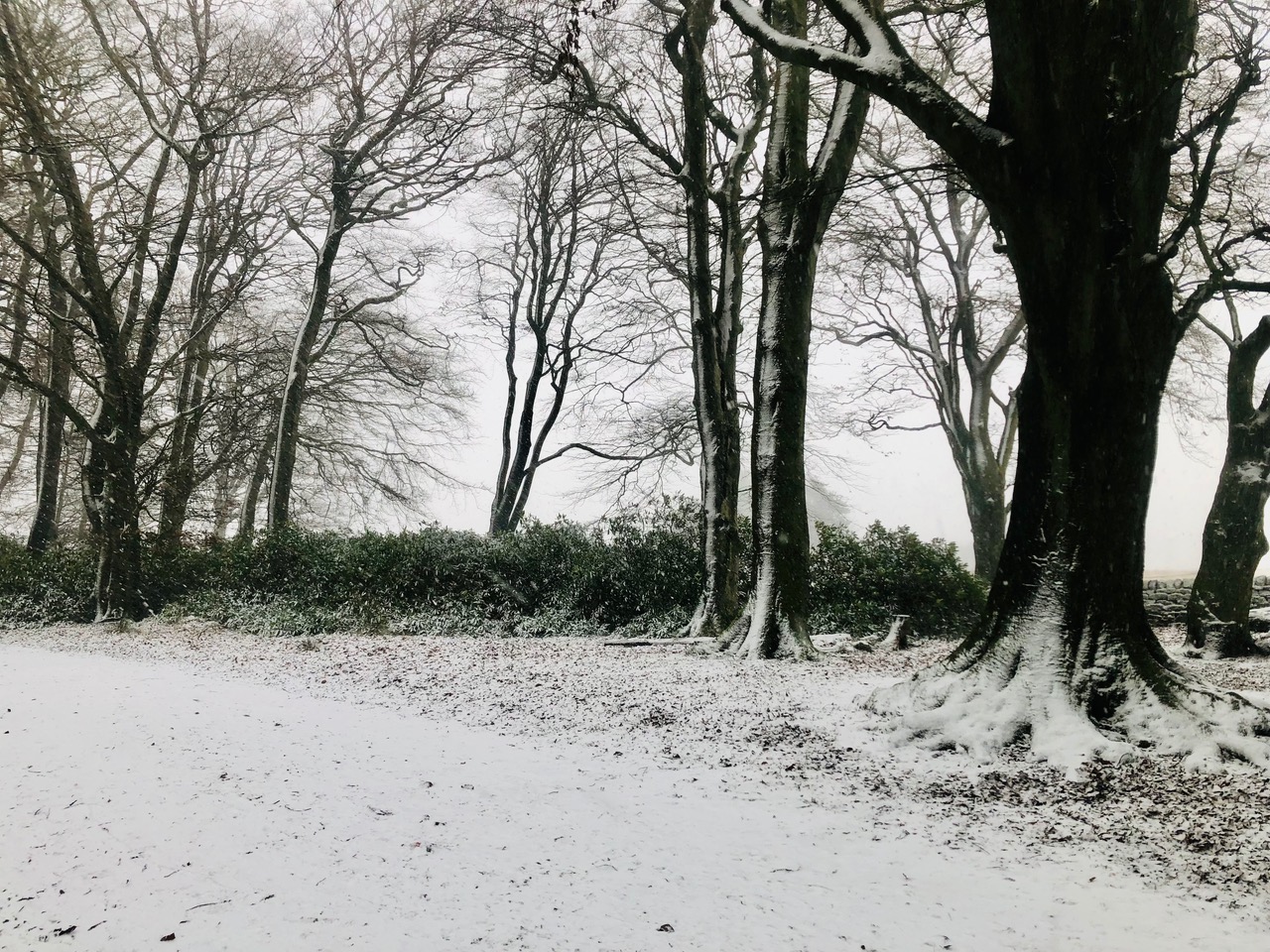 Fwd: Longshaw Estate. Peak District. Keith Bown			
					</div><!-- .entry-content -->
		
		<footer>
		
		
		
					
					</footer><!-- .entry-meta -->
	</article><!-- #post -->
				
											
				
		
<hr class=
