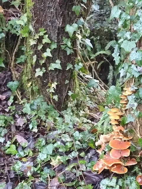 Fwd: A fairy staircase? Rivelin, Stuart & Chris			
					</div><!-- .entry-content -->
		
		<footer>
		
		
		
					
					</footer><!-- .entry-meta -->
	</article><!-- #post -->
				
											
				
		
<hr class=