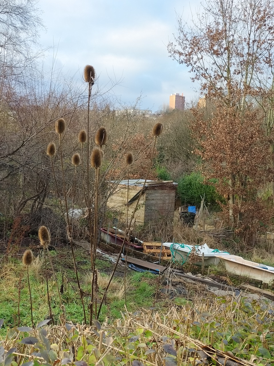 Fwd: "What a tease l"			
					</div><!-- .entry-content -->
		
		<footer>
		
		
		
					
					</footer><!-- .entry-meta -->
	</article><!-- #post -->
				
											
				
		
<hr class=