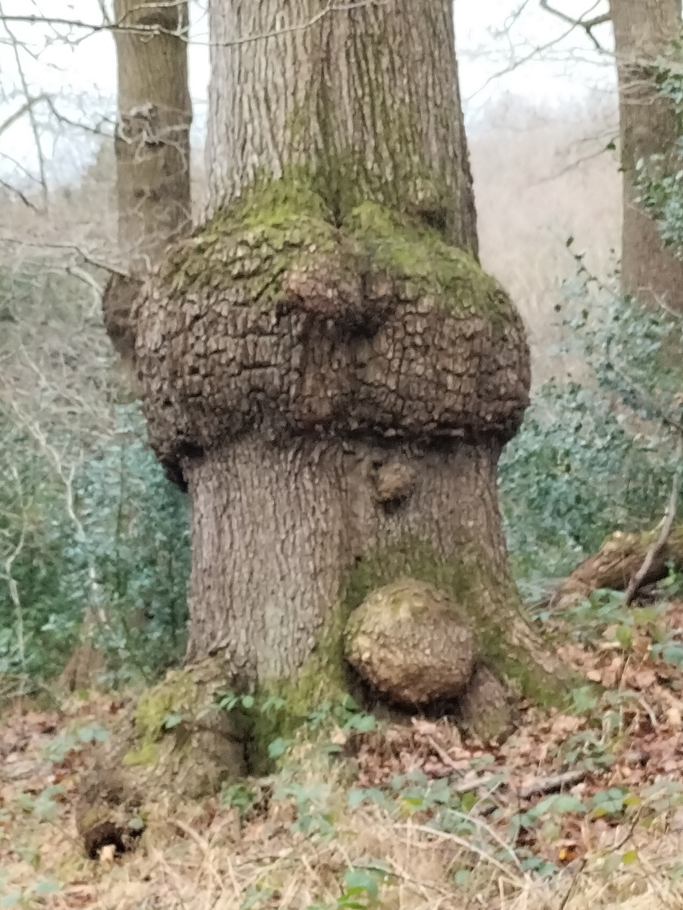 Fwd: I see beavers!			
					</div><!-- .entry-content -->
		
		<footer>
		
		
		
					
					</footer><!-- .entry-meta -->
	</article><!-- #post -->
				
											
				
		
<hr class=