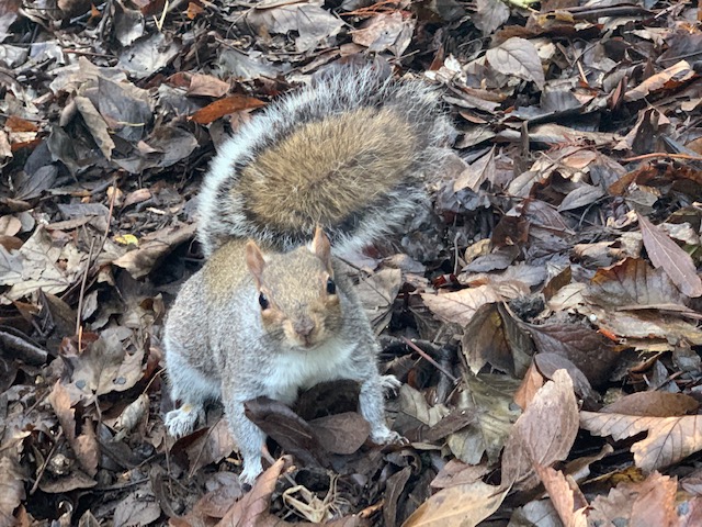 Fwd: Botanical Gardens Sheffield – Tayla			
					</div><!-- .entry-content -->
		
		<footer>
		
		
		
					
					</footer><!-- .entry-meta -->
	</article><!-- #post -->
				
											
				
		
<hr class=