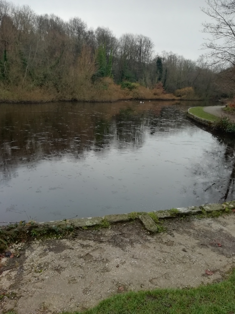 Fwd: Frozen too! Rivelin Valley, Stuart & Chris.			
					</div><!-- .entry-content -->
		
		<footer>
		
		
		
					
					</footer><!-- .entry-meta -->
	</article><!-- #post -->
				
											
				
		
<hr class=