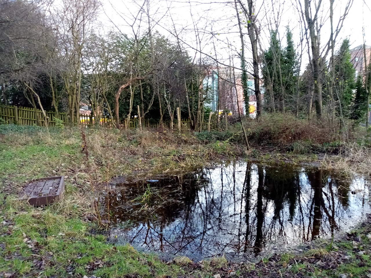 Fwd: Urban pond			
					</div><!-- .entry-content -->
		
		<footer>
		
		
		
					
					</footer><!-- .entry-meta -->
	</article><!-- #post -->
				
											
				
		
<hr class=