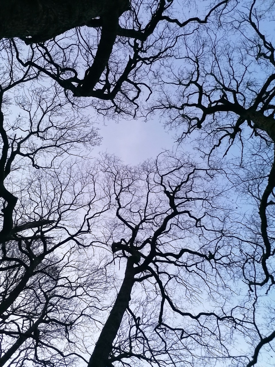 Fwd: Look Up at Loxley by Vee Jay			
					</div><!-- .entry-content -->
		
		<footer>
		
		
		
					
					</footer><!-- .entry-meta -->
	</article><!-- #post -->
				
											
				
		
<hr class=