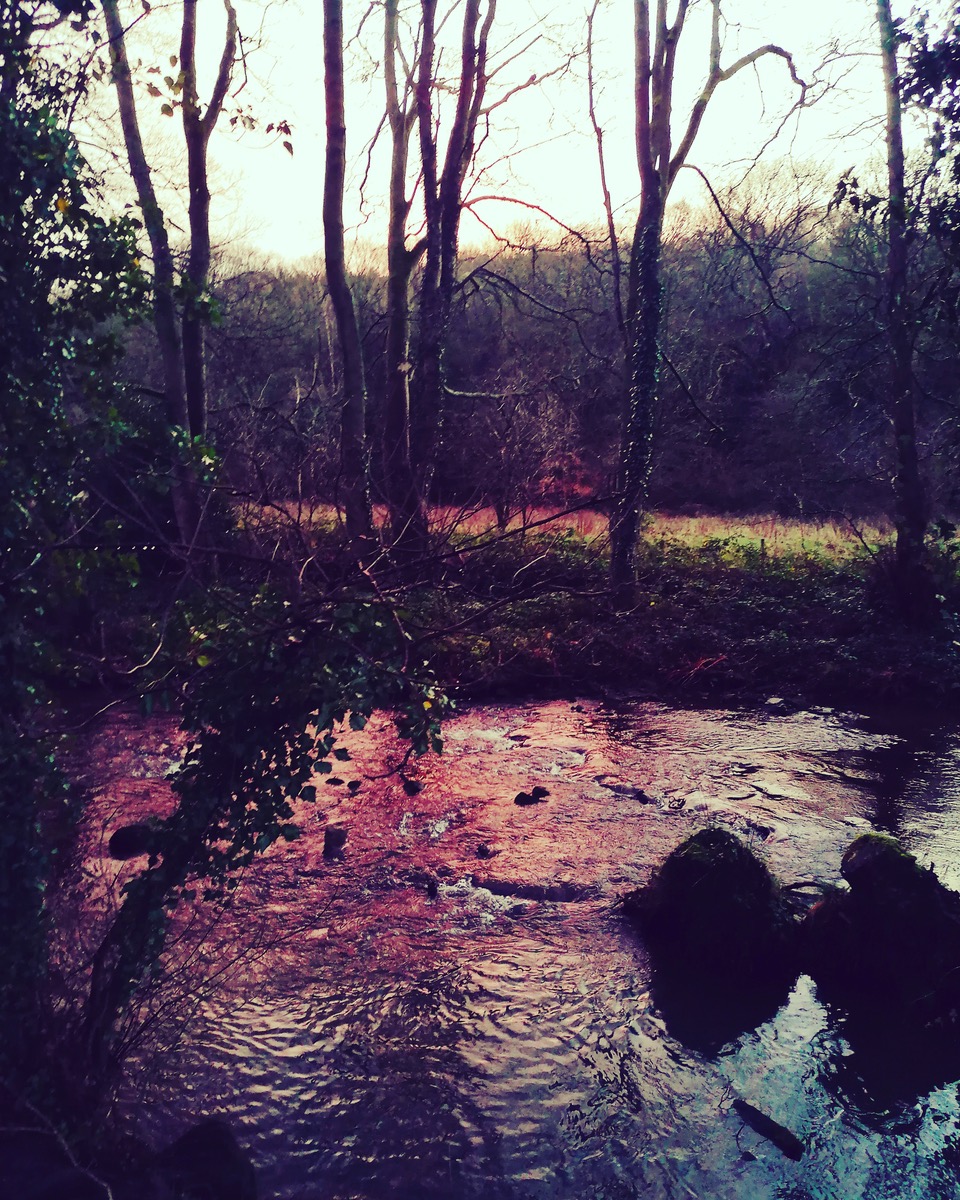 Fwd: River Loxley January Sunset by Vee Jay			
					</div><!-- .entry-content -->
		
		<footer>
		
		
		
					
					</footer><!-- .entry-meta -->
	</article><!-- #post -->
				
											
				
		
<hr class=