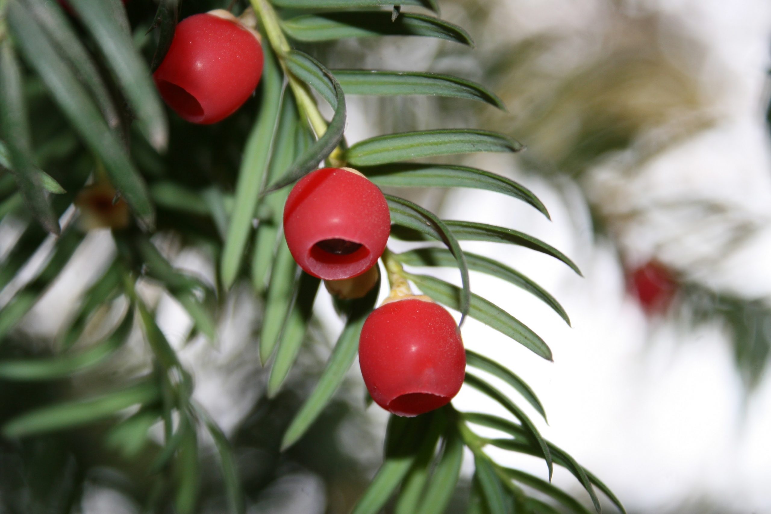 Fwd: Photo			
					</div><!-- .entry-content -->
		
		<footer>
		
		
		
					
					</footer><!-- .entry-meta -->
	</article><!-- #post -->
				
											
				
		
<hr class=