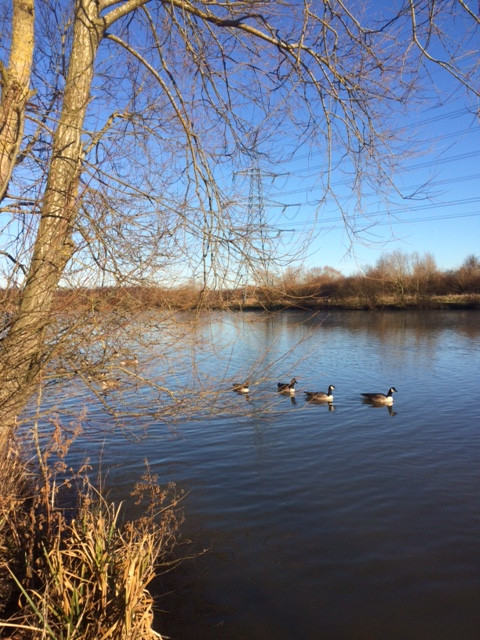 Fwd: Poolsbrook Country Park			
					</div><!-- .entry-content -->
		
		<footer>
		
		
		
					
					</footer><!-- .entry-meta -->
	</article><!-- #post -->
				
											
				
		
<hr class=