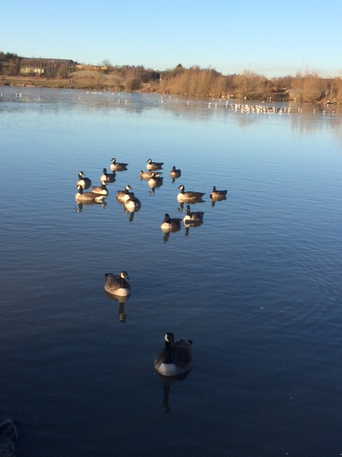 Fwd: Poolsbrook Country Park			
					</div><!-- .entry-content -->
		
		<footer>
		
		
		
					
					</footer><!-- .entry-meta -->
	</article><!-- #post -->
				
											
				
		
<hr class=