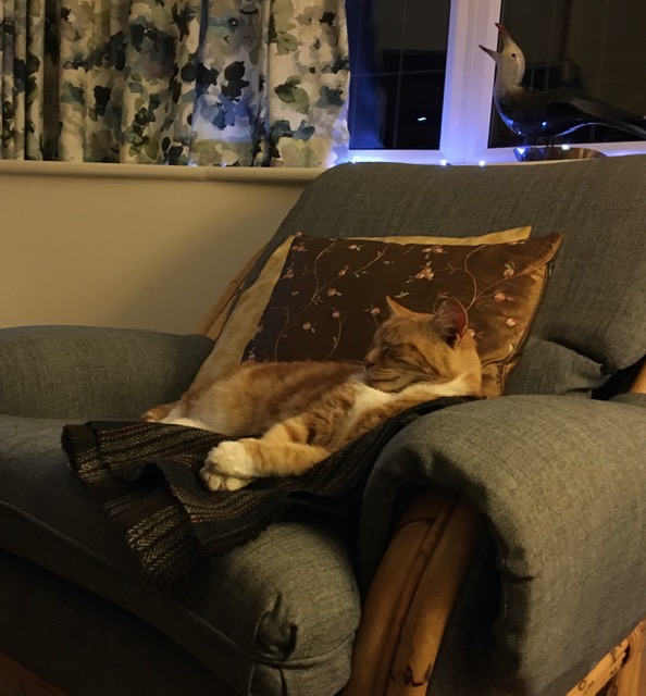 Fwd: Photo by T Andrews			
					</div><!-- .entry-content -->
		
		<footer>
		
		
		
					
					</footer><!-- .entry-meta -->
	</article><!-- #post -->
				
											
				
		
<hr class=