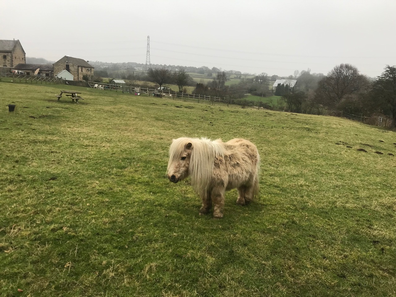 Fwd: Charnock			
					</div><!-- .entry-content -->
		
		<footer>
		
		
		
					
					</footer><!-- .entry-meta -->
	</article><!-- #post -->
				
											
				
		
<hr class=