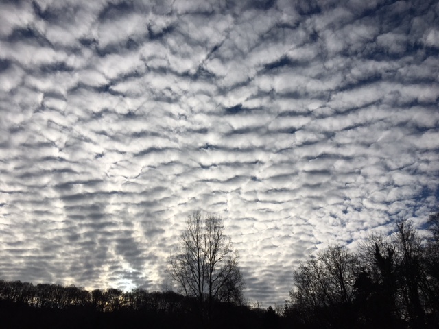 Fwd: Clouds over Beauchief yesterday morning			
					</div><!-- .entry-content -->
		
		<footer>
		
		
		
					
					</footer><!-- .entry-meta -->
	</article><!-- #post -->
				
											
				
		
<hr class=