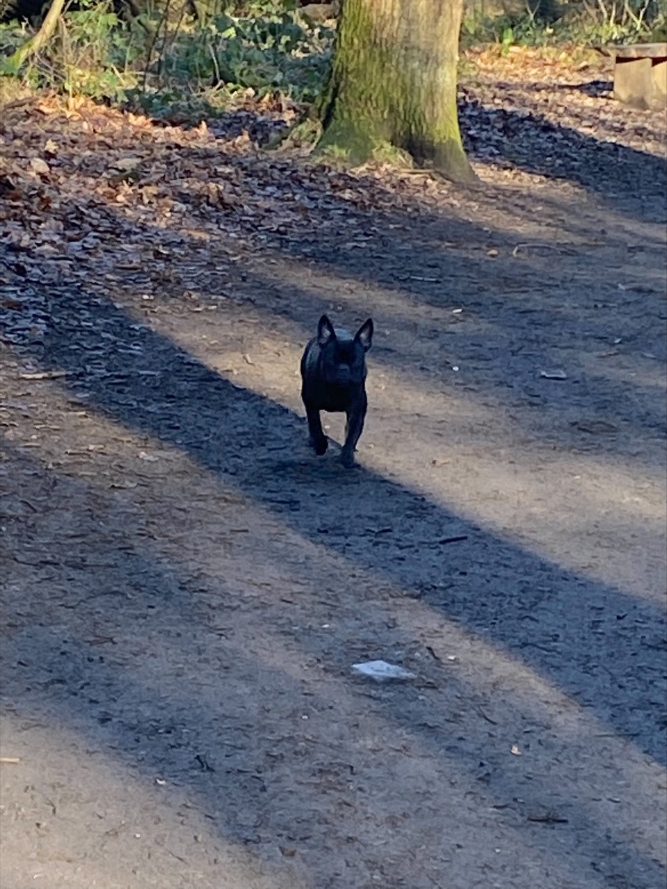 Fwd: Photos			
					</div><!-- .entry-content -->
		
		<footer>
		
		
		
					
					</footer><!-- .entry-meta -->
	</article><!-- #post -->
				
											
				
		
<hr class=