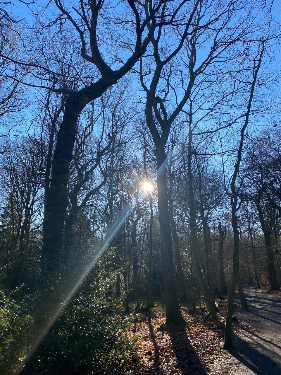 Fwd: Photos			
					</div><!-- .entry-content -->
		
		<footer>
		
		
		
					
					</footer><!-- .entry-meta -->
	</article><!-- #post -->
				
											
				
		
<hr class=