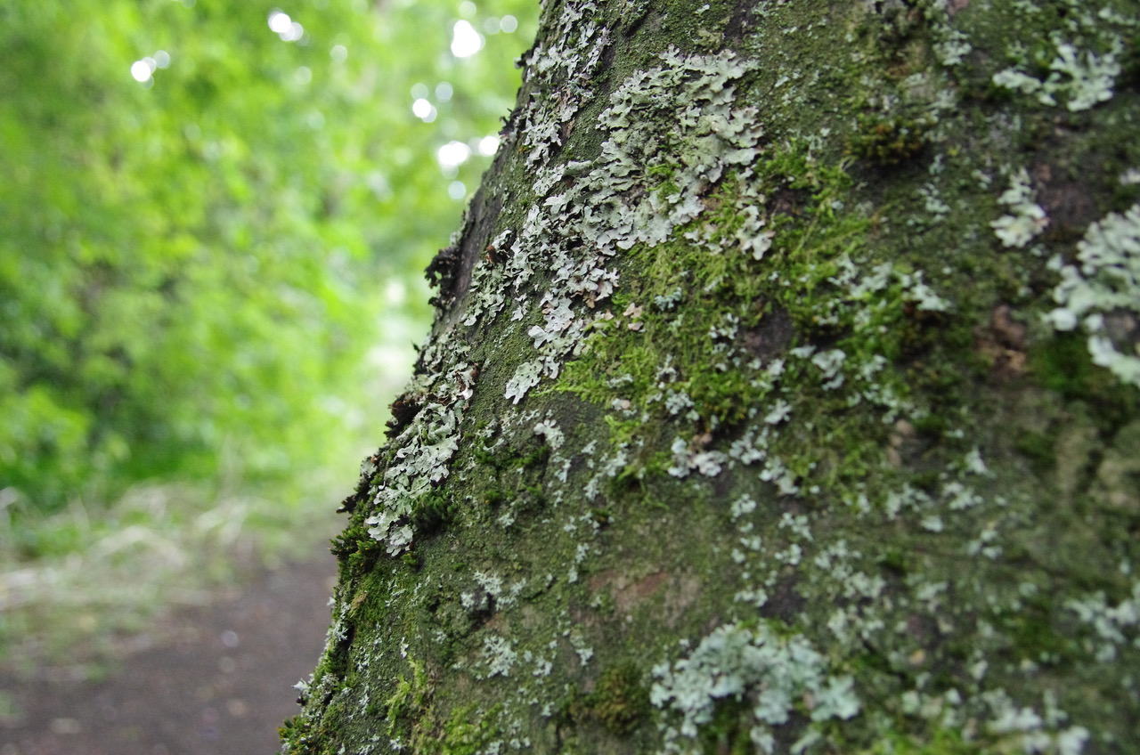 Fwd: Photo of Rivelin, Sheffield			
					</div><!-- .entry-content -->
		
		<footer>
		
		
		
					
					</footer><!-- .entry-meta -->
	</article><!-- #post -->
				
											
				
		
<hr class=