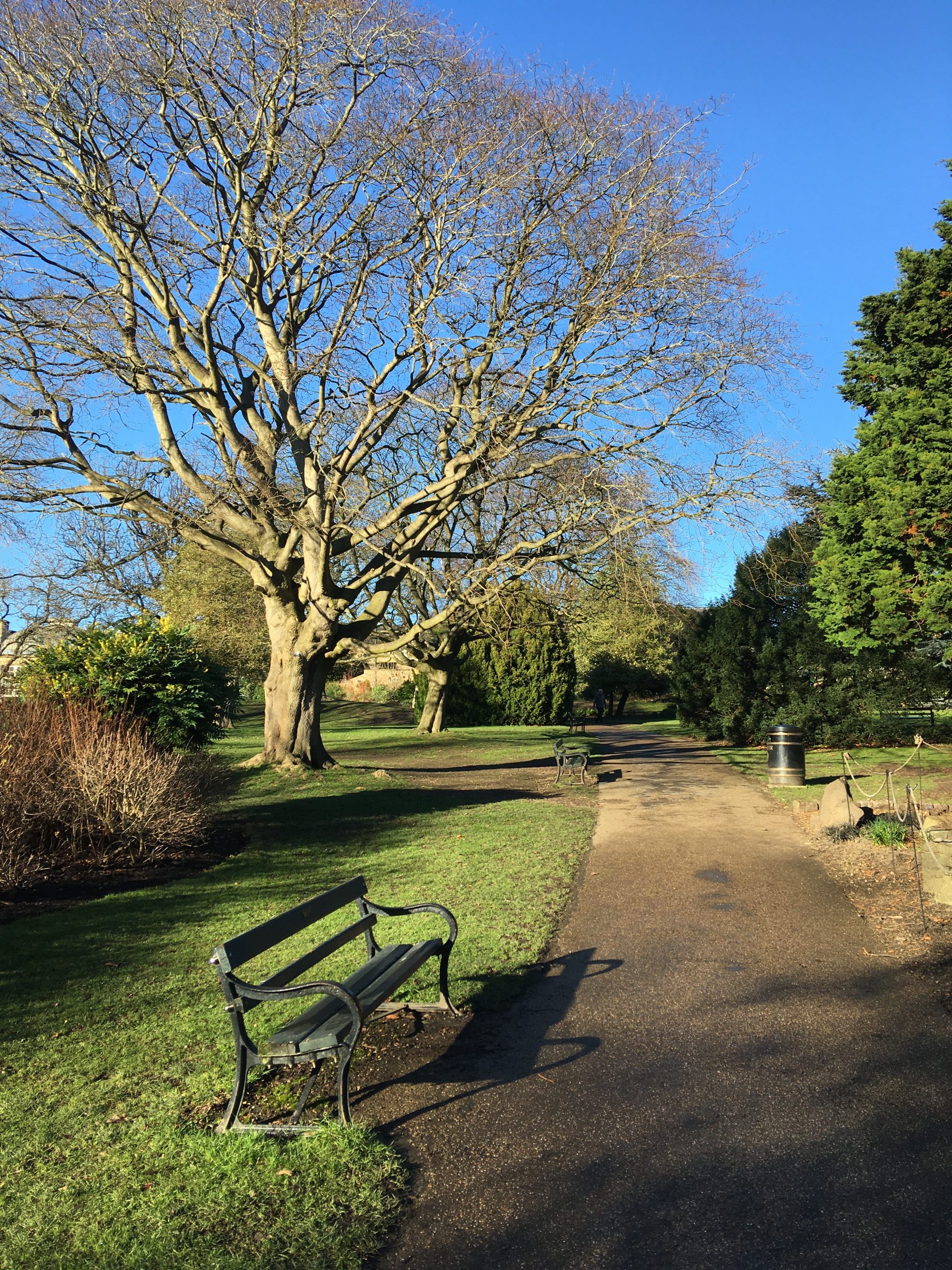 Fwd: Botanical Gardens			
					</div><!-- .entry-content -->
		
		<footer>
		
		
		
					
					</footer><!-- .entry-meta -->
	</article><!-- #post -->
				
											
				
		
<hr class=