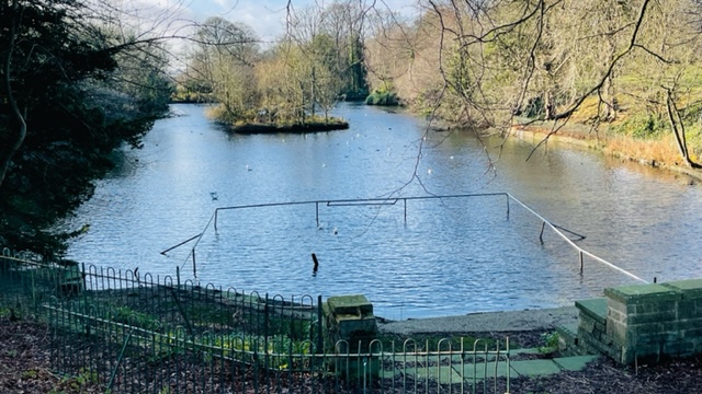 Fwd: Pics for tx			
					</div><!-- .entry-content -->
		
		<footer>
		
		
		
					
					</footer><!-- .entry-meta -->
	</article><!-- #post -->
				
											
				
		
<hr class=