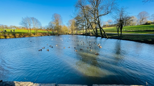 Fwd: Pics for tx			
					</div><!-- .entry-content -->
		
		<footer>
		
		
		
					
					</footer><!-- .entry-meta -->
	</article><!-- #post -->
				
											
				
		
<hr class=