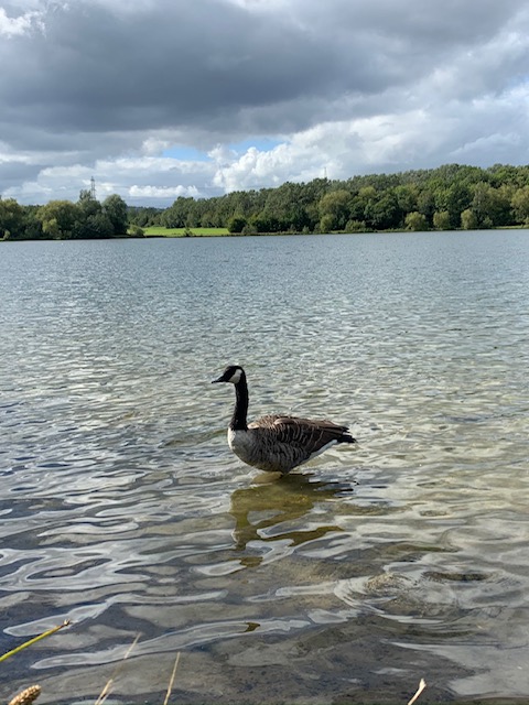 Fwd: PHOTOS			
					</div><!-- .entry-content -->
		
		<footer>
		
		
		
					
					</footer><!-- .entry-meta -->
	</article><!-- #post -->
				
											
				
		
<hr class=