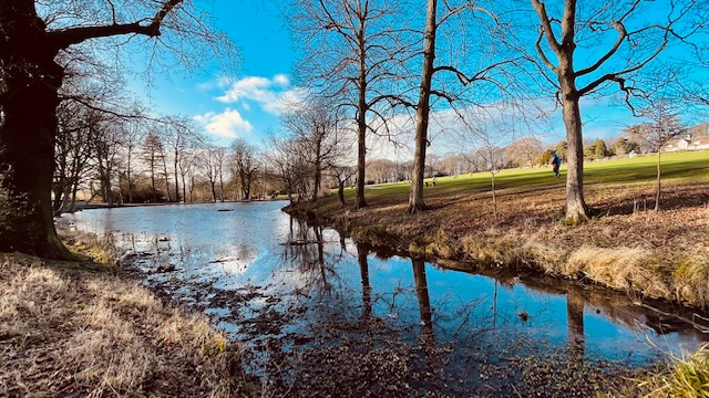 Fwd: Pics for tx			
					</div><!-- .entry-content -->
		
		<footer>
		
		
		
					
					</footer><!-- .entry-meta -->
	</article><!-- #post -->
				
											
				
		
<hr class=