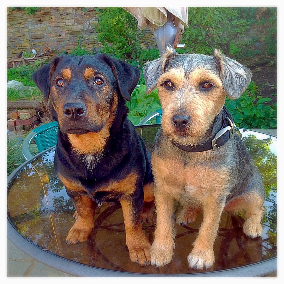 Fwd: photos			
					</div><!-- .entry-content -->
		
		<footer>
		
		
		
					
					</footer><!-- .entry-meta -->
	</article><!-- #post -->
				
											
				
		
<hr class=