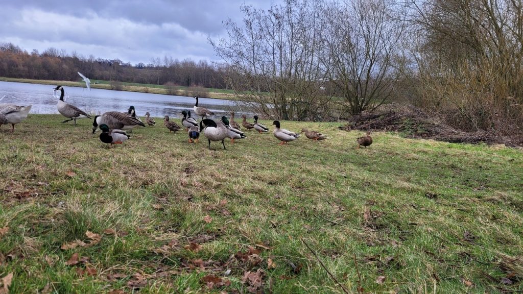 Fwd: Greg Howarth Nethermoor Lakes | Sheffield Live!