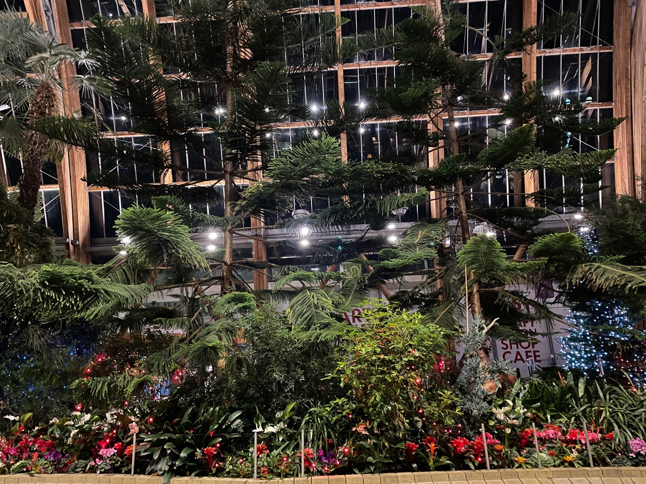 Fwd: Winter Garden, Sheffield			
					</div><!-- .entry-content -->
		
		<footer>
		
		
		
					
					</footer><!-- .entry-meta -->
	</article><!-- #post -->
				
											
				
		
<hr class=