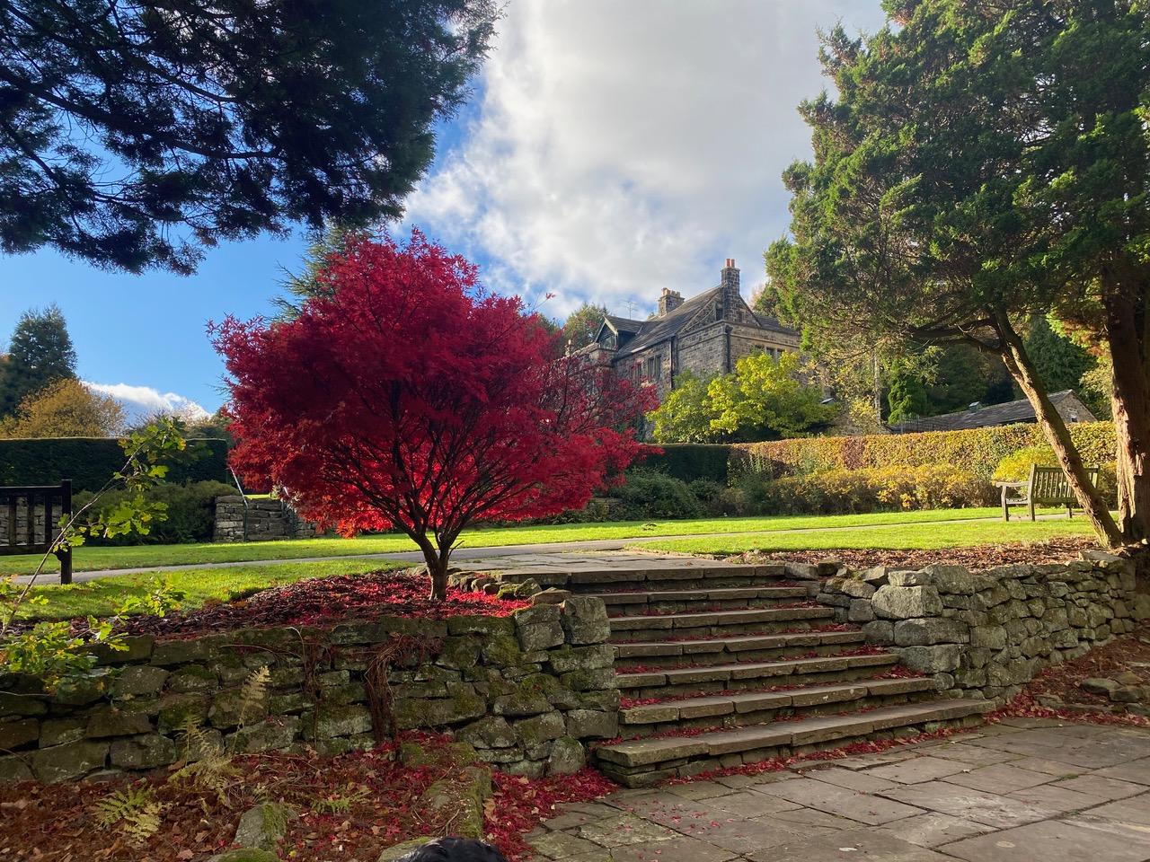 Fwd: Greg Howarth Whirlow Brook Park			
					</div><!-- .entry-content -->
		
		<footer>
		
		
		
					
					</footer><!-- .entry-meta -->
	</article><!-- #post -->
				
											
				
		
<hr class=