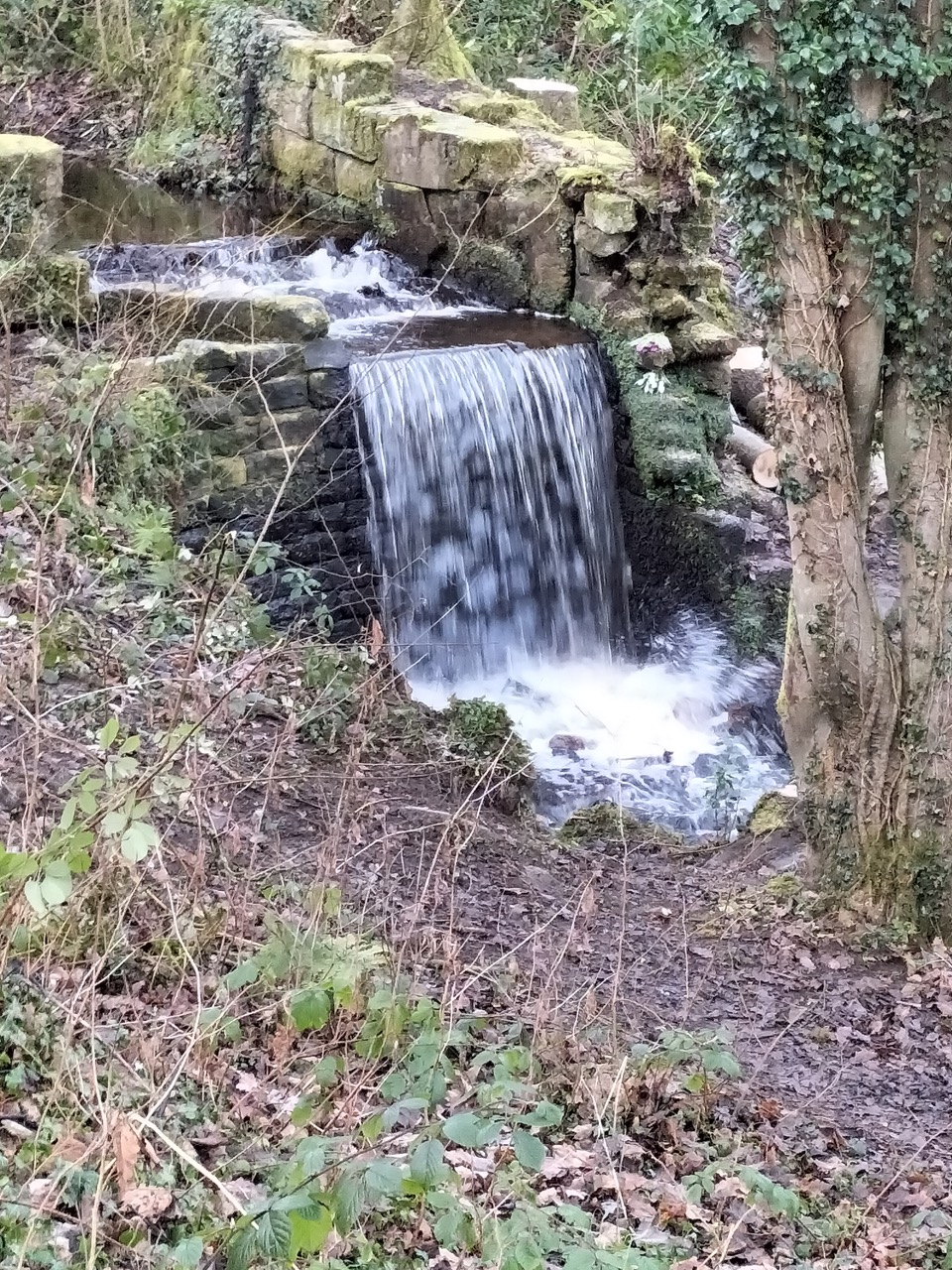 Fwd: Rivelin waterfall, by Chris for Stuart			
					</div><!-- .entry-content -->
		
		<footer>
		
		
		
					
					</footer><!-- .entry-meta -->
	</article><!-- #post -->
				
											
				
		
<hr class=