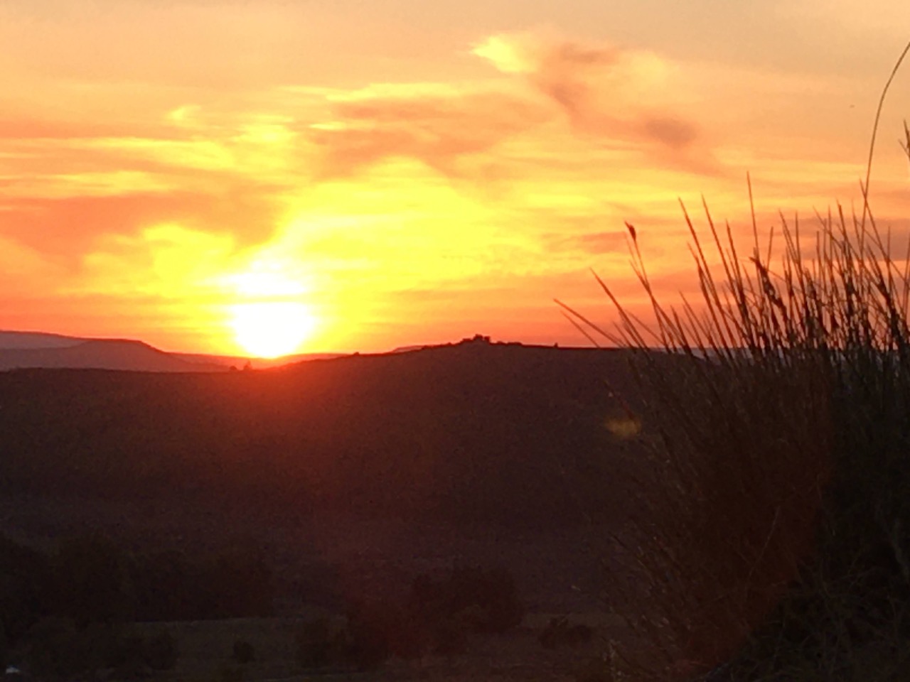 Fwd: Photo by T Andrews – Sunset at Longshaw			
					</div><!-- .entry-content -->
		
		<footer>
		
		
		
					
					</footer><!-- .entry-meta -->
	</article><!-- #post -->
				
											
				
		
<hr class=