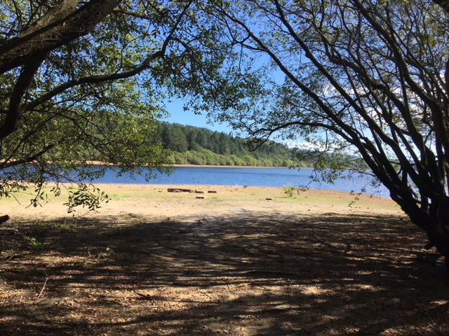 Fwd: Photograph by T Andrews – Ewden Reservoir			
					</div><!-- .entry-content -->
		
		<footer>
		
		
		
					
					</footer><!-- .entry-meta -->
	</article><!-- #post -->
				
											
				
		
<hr class=