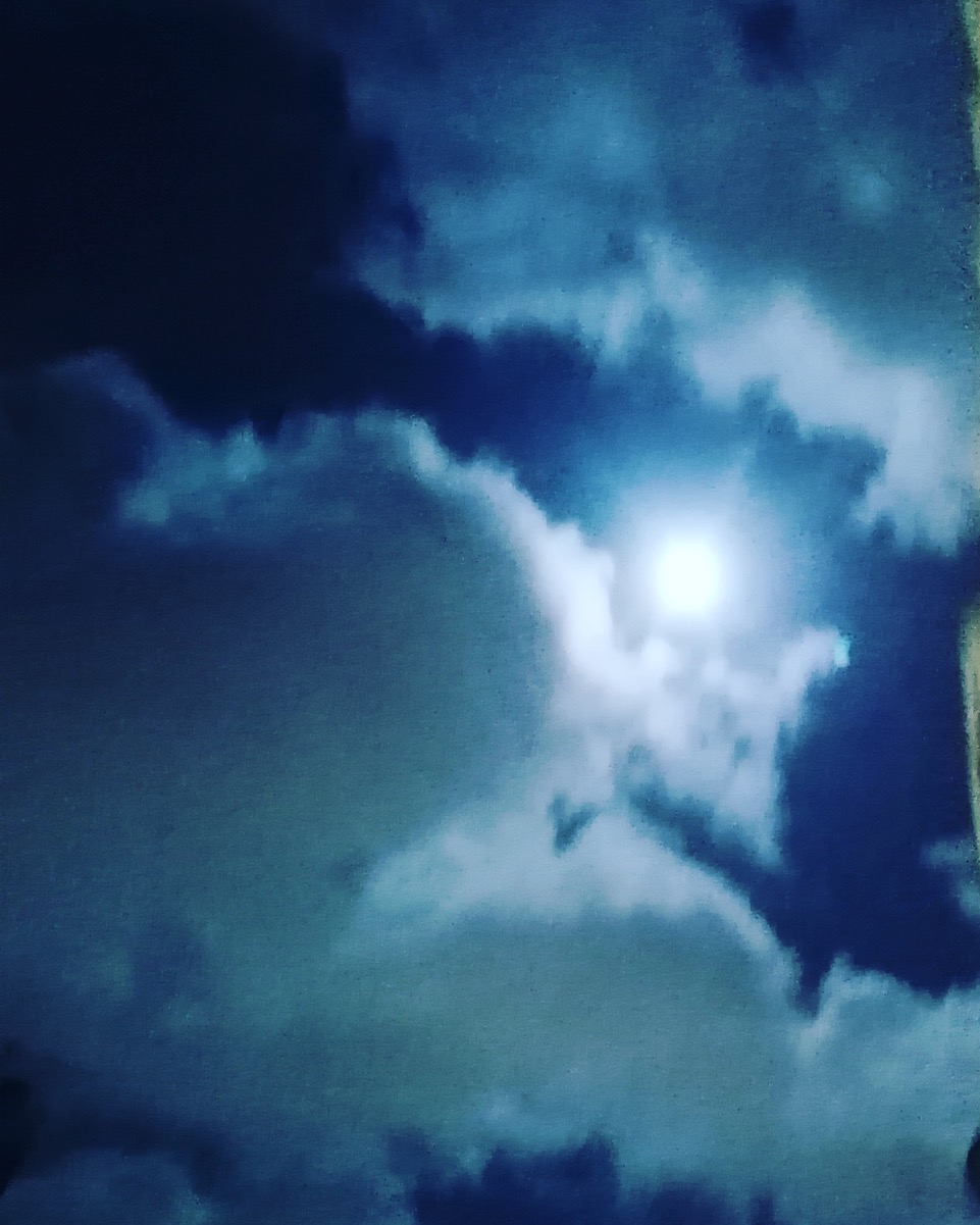 Fwd: Full Moon by Vee Jay			
					</div><!-- .entry-content -->
		
		<footer>
		
		
		
					
					</footer><!-- .entry-meta -->
	</article><!-- #post -->
				
											
				
		
<hr class=