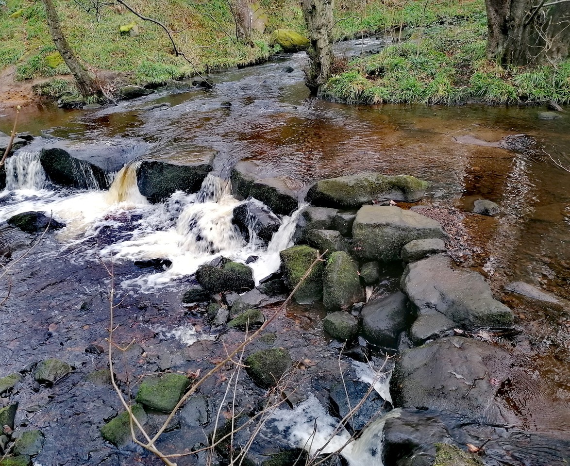 Fwd: Rivelin by Vee Jay			
					</div><!-- .entry-content -->
		
		<footer>
		
		
		
					
					</footer><!-- .entry-meta -->
	</article><!-- #post -->
				
											
				
		
<hr class=
