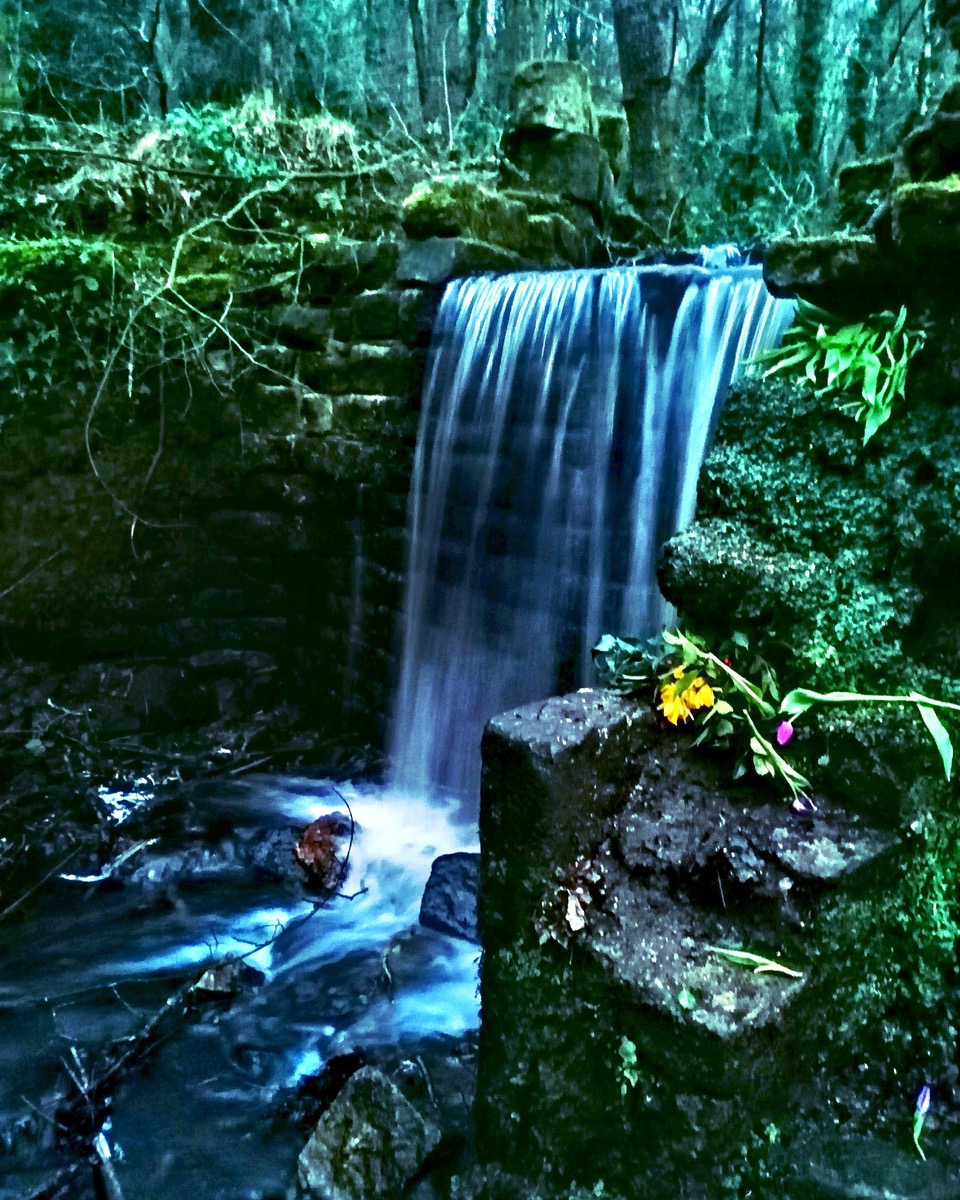 Fwd: Rivelin Wood Waterfall by Vee Jay			
					</div><!-- .entry-content -->
		
		<footer>
		
		
		
					
					</footer><!-- .entry-meta -->
	</article><!-- #post -->
				
											
				
		
<hr class=