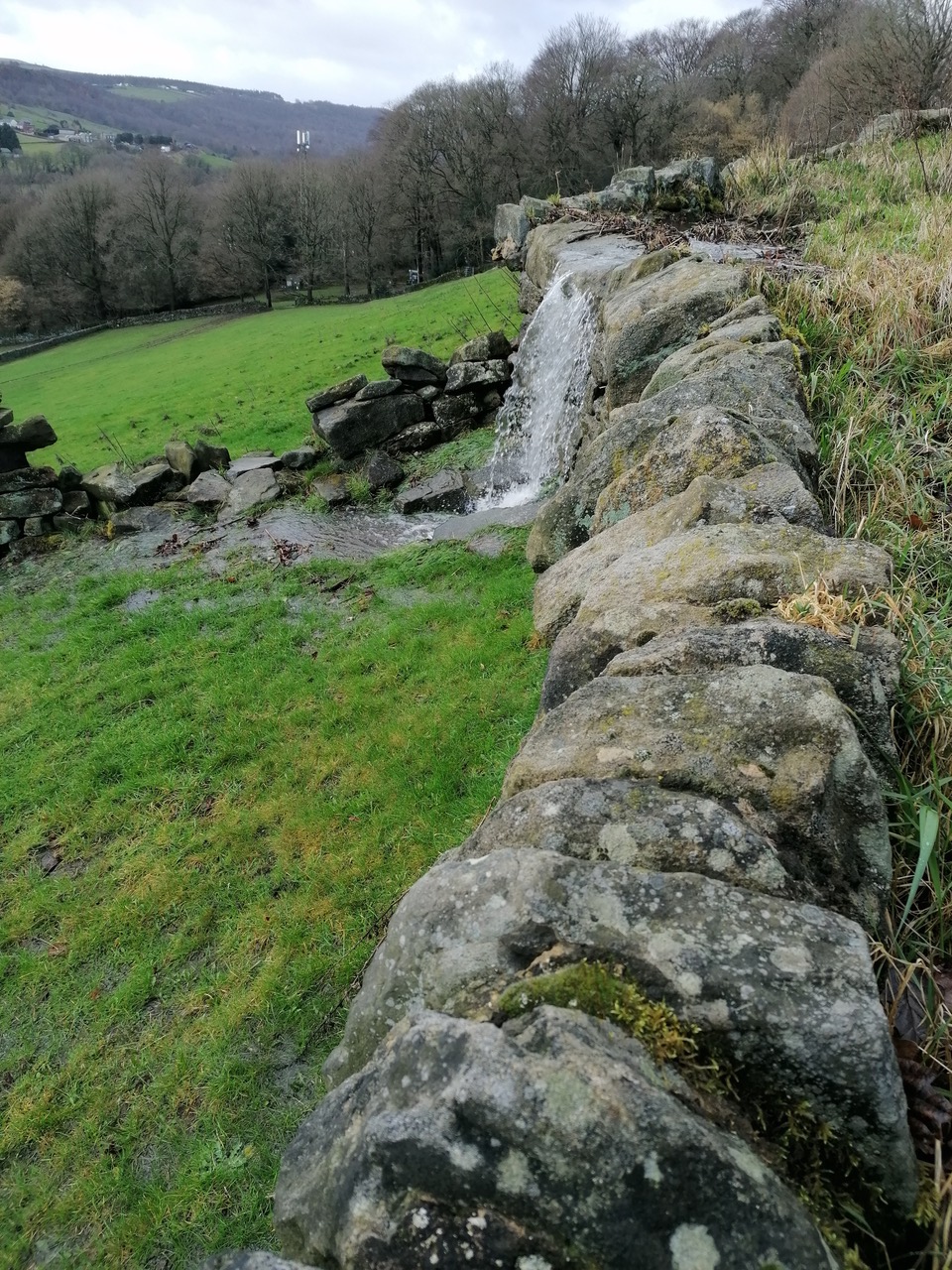 Fwd: Coppice Fields after Storm, Vee Jay			
					</div><!-- .entry-content -->
		
		<footer>
		
		
		
					
					</footer><!-- .entry-meta -->
	</article><!-- #post -->
				
											
				
		
<hr class=