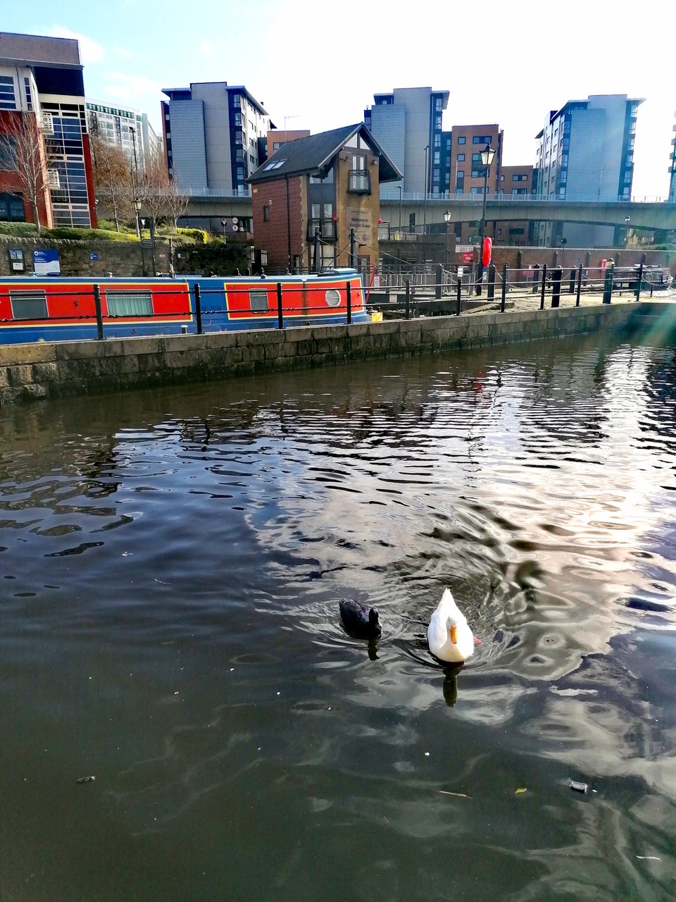 Fwd: Victoria Quays by Vee Jay			
					</div><!-- .entry-content -->
		
		<footer>
		
		
		
					
					</footer><!-- .entry-meta -->
	</article><!-- #post -->
				
											
				
		
<hr class=