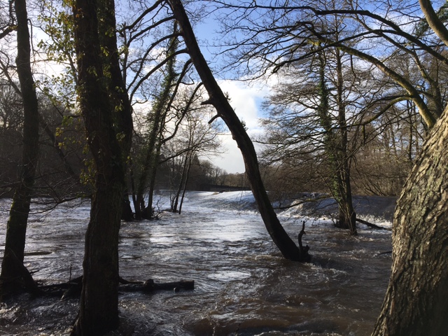 Fwd: Photo by T Andrews – Weir on the Derwent at Calver			
					</div><!-- .entry-content -->
		
		<footer>
		
		
		
					
					</footer><!-- .entry-meta -->
	</article><!-- #post -->
				
											
				
		
<hr class=