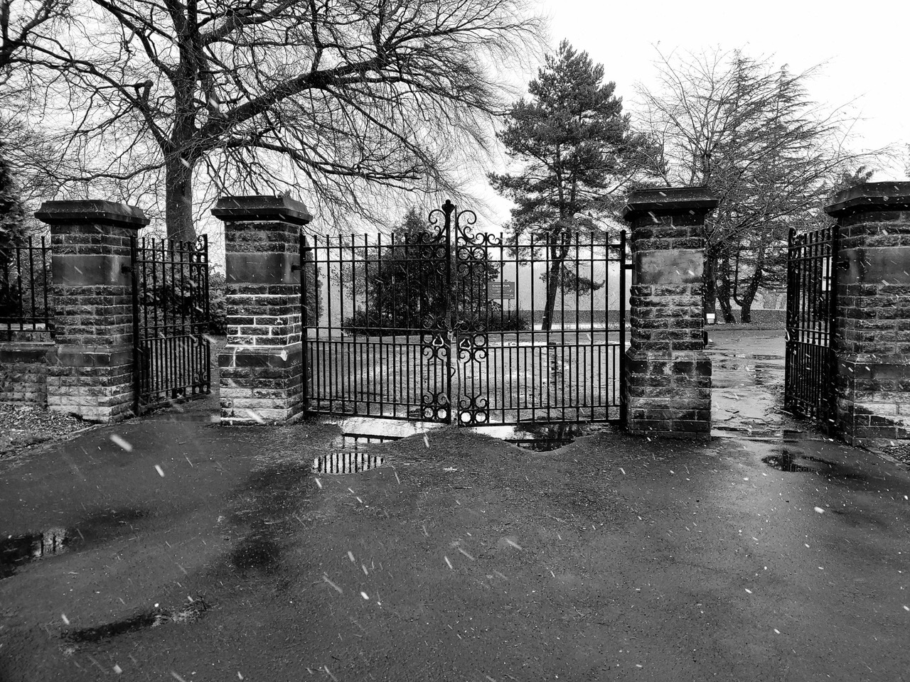 Fwd: Greg Howarth Graves Park Entrance			
					</div><!-- .entry-content -->
		
		<footer>
		
		
		
					
					</footer><!-- .entry-meta -->
	</article><!-- #post -->
				
											
				
		
<hr class=
