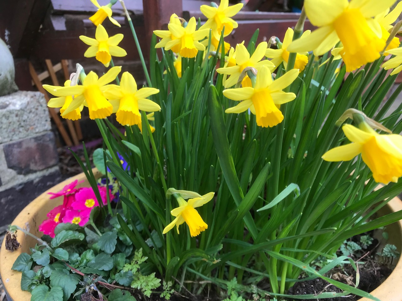Fwd: Spring, Geoff Swindells, Basegreen			
					</div><!-- .entry-content -->
		
		<footer>
		
		
		
					
					</footer><!-- .entry-meta -->
	</article><!-- #post -->
				
											
				
		
<hr class=
