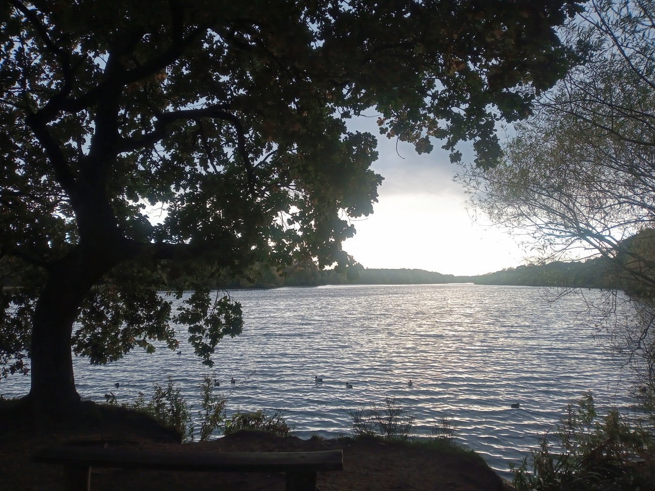 Fwd: Photograph by MFH, Clumber Park			
					</div><!-- .entry-content -->
		
		<footer>
		
		
		
					
					</footer><!-- .entry-meta -->
	</article><!-- #post -->
				
											
				
		
<hr class=