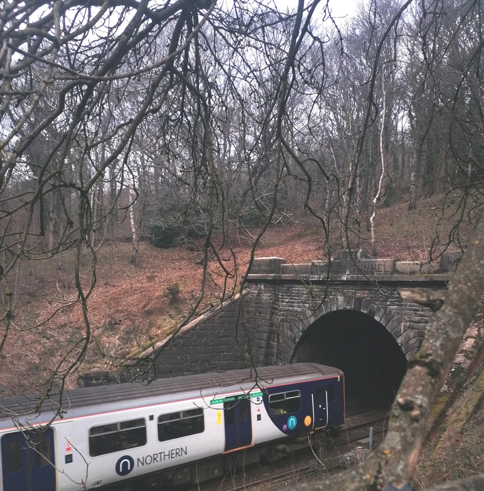 Fwd: Totley Tunnel, by Vee Jay			
					</div><!-- .entry-content -->
		
		<footer>
		
		
		
					
					</footer><!-- .entry-meta -->
	</article><!-- #post -->
				
											
				
		
<hr class=
