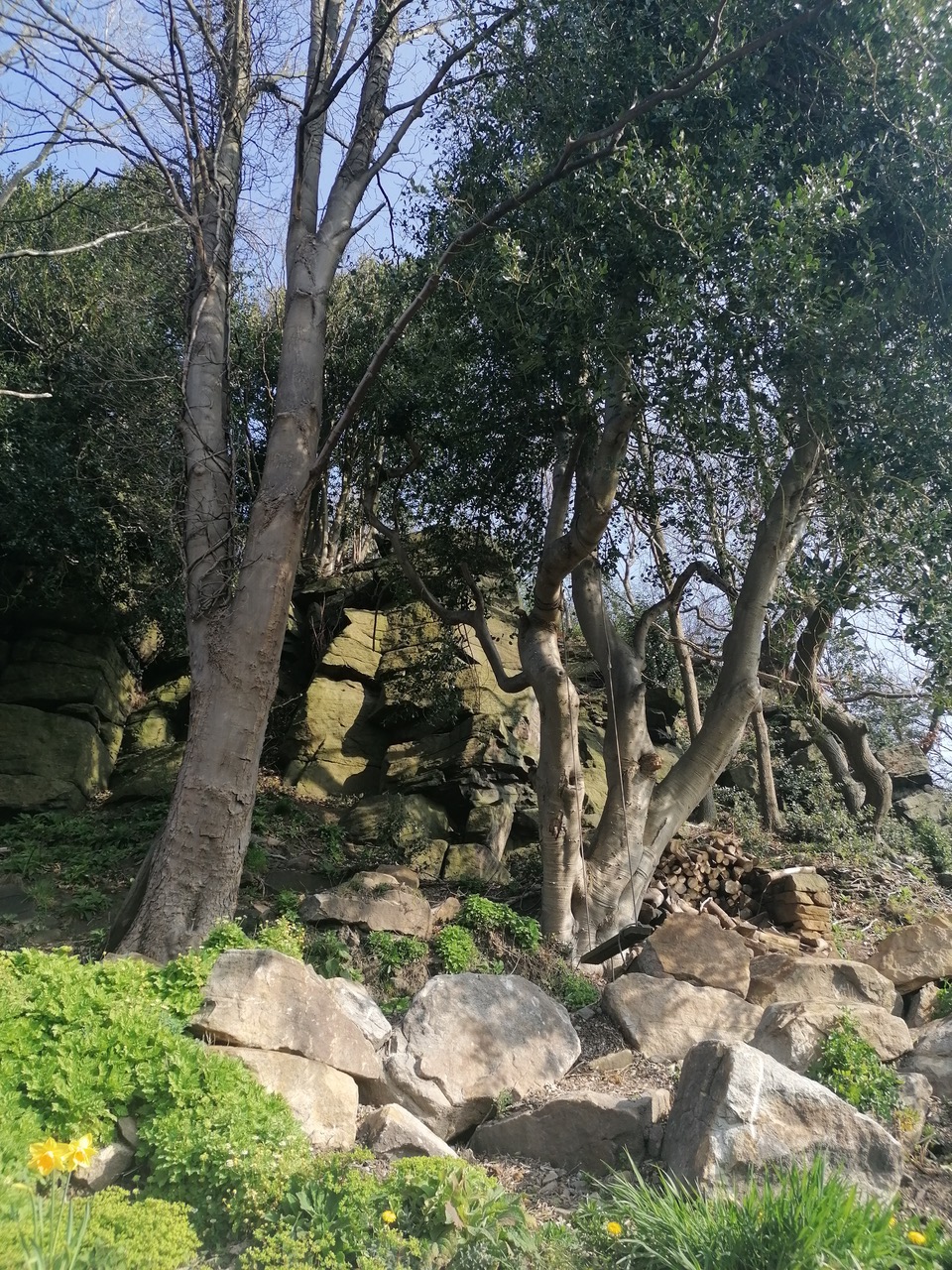 Fwd: Quarry on Hagg Lane, by Vee Jay			
					</div><!-- .entry-content -->
		
		<footer>
		
		
		
					
					</footer><!-- .entry-meta -->
	</article><!-- #post -->
				
											
				
		
<hr class=