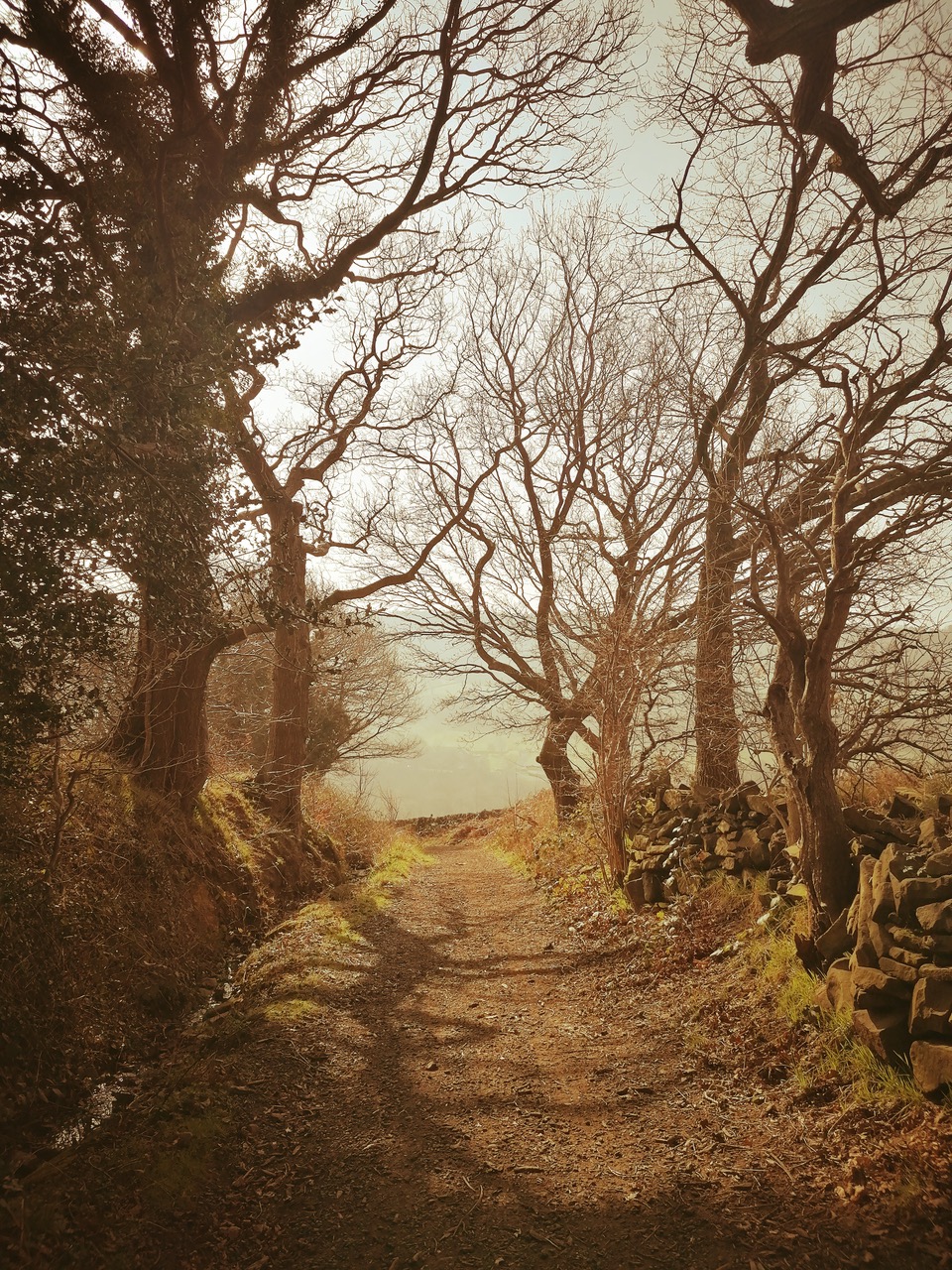 Fwd: Canter Path, Coppice Lane, by Vee Jay			
					</div><!-- .entry-content -->
		
		<footer>
		
		
		
					
					</footer><!-- .entry-meta -->
	</article><!-- #post -->
				
											
				
		
<hr class=