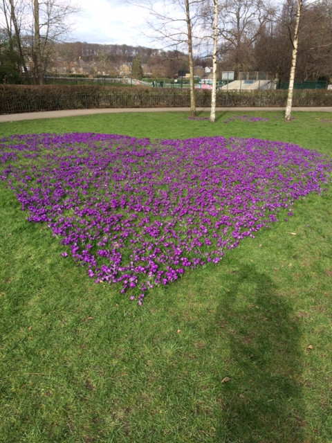 Fwd: Millhouses Park			
					</div><!-- .entry-content -->
		
		<footer>
		
		
		
					
					</footer><!-- .entry-meta -->
	</article><!-- #post -->
				
											
				
		
<hr class=