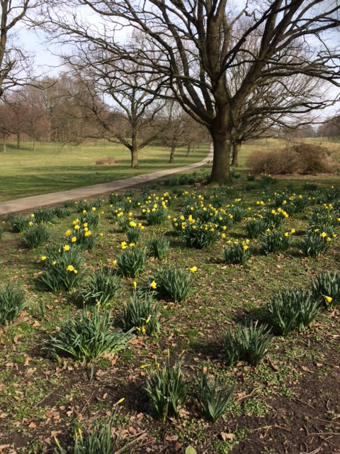Fwd: Graves Park			
					</div><!-- .entry-content -->
		
		<footer>
		
		
		
					
					</footer><!-- .entry-meta -->
	</article><!-- #post -->
				
											
				
		
<hr class=