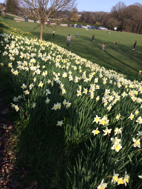 Fwd: Millhouses Park Daffodils			
					</div><!-- .entry-content -->
		
		<footer>
		
		
		
					
					</footer><!-- .entry-meta -->
	</article><!-- #post -->
				
											
				
		
<hr class=
