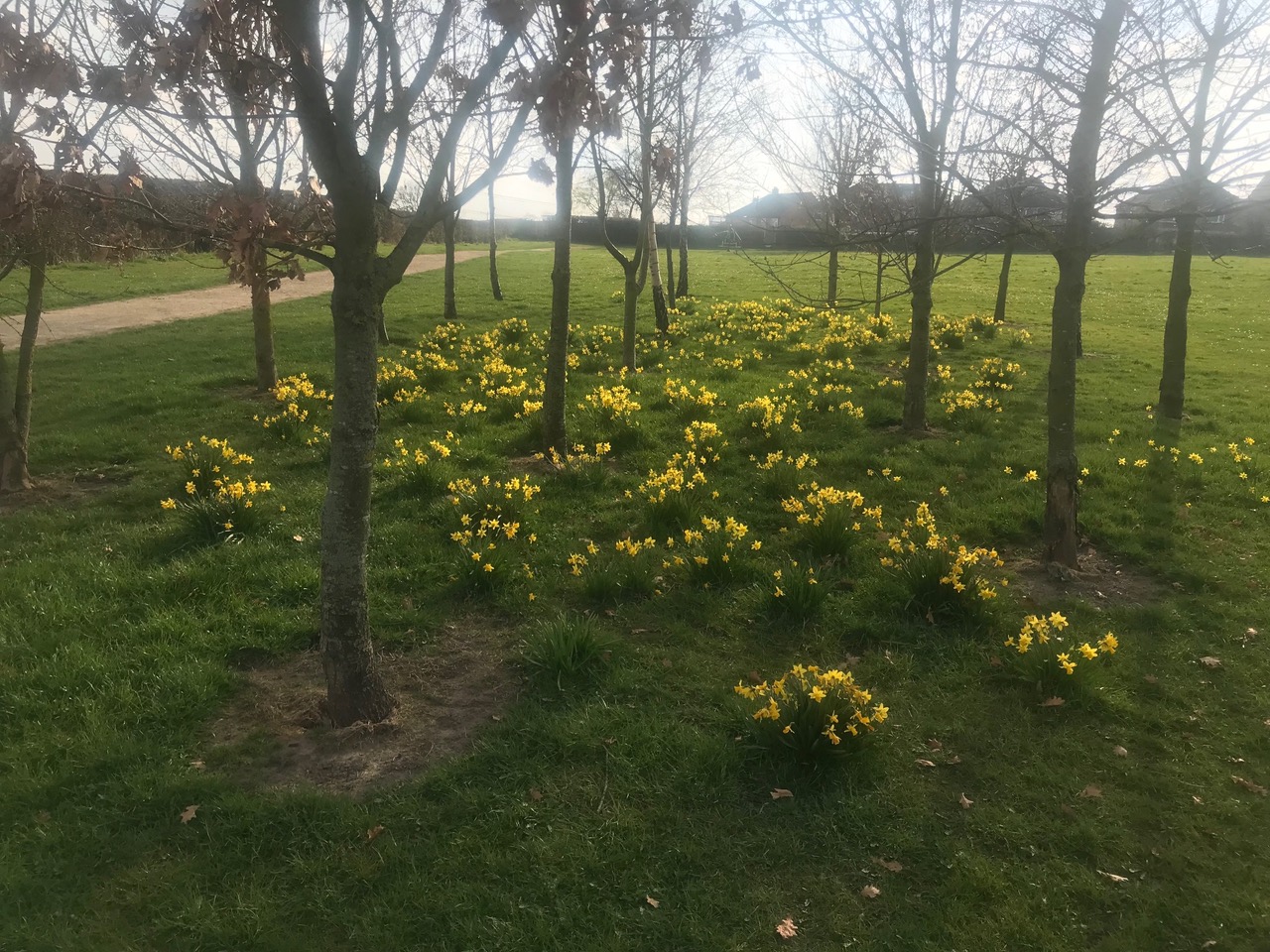 Fwd: Charnock Park			
					</div><!-- .entry-content -->
		
		<footer>
		
		
		
					
					</footer><!-- .entry-meta -->
	</article><!-- #post -->
				
											
				
		
<hr class=