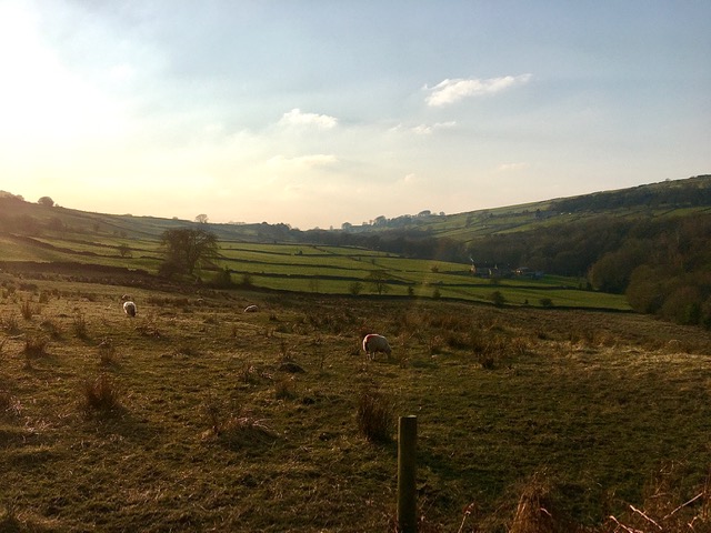 Fwd: Photo by T Andrews Sidling Hollow Dungworth			
					</div><!-- .entry-content -->
		
		<footer>
		
		
		
					
					</footer><!-- .entry-meta -->
	</article><!-- #post -->
				
											
				
		
<hr class=
