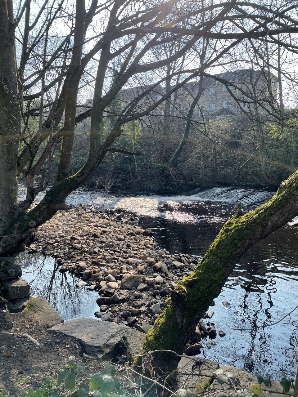 Fwd: Beeley woods			
					</div><!-- .entry-content -->
		
		<footer>
		
		
		
					
					</footer><!-- .entry-meta -->
	</article><!-- #post -->
				
											
				
		
<hr class=